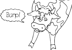 burping cow