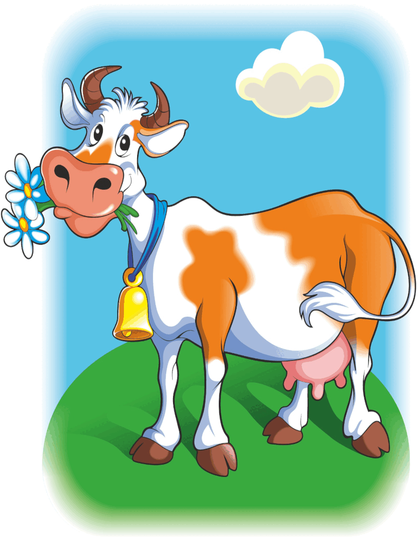 cow-daisy