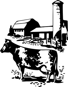 cow-on-farm-BW