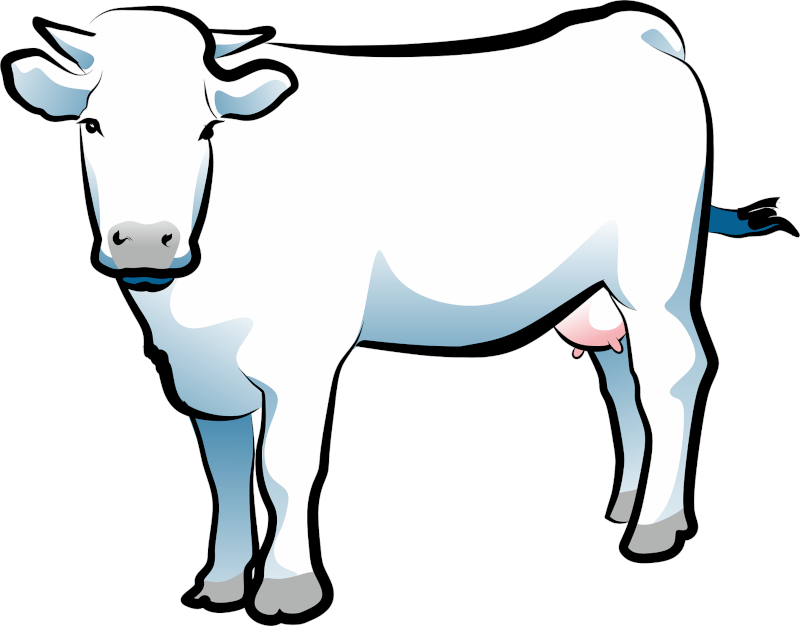 cow 8
