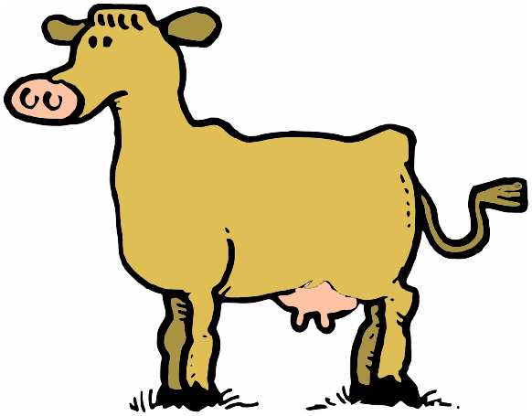 cow brown