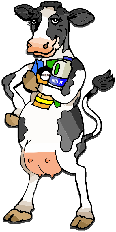 cow holding milk