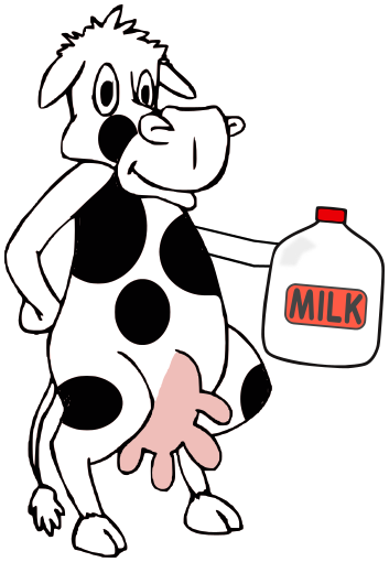 cow holding milk 2