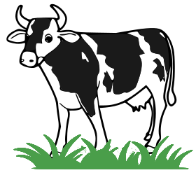 cow in-field