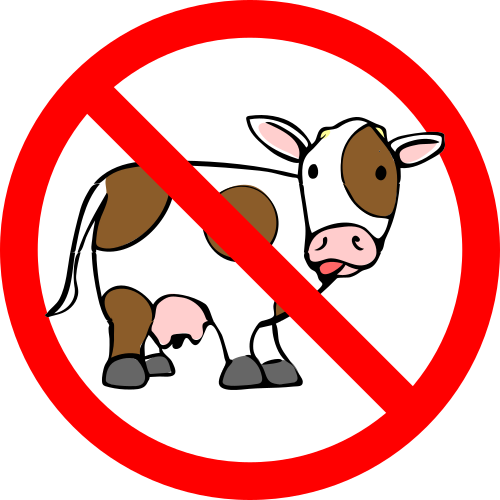 no-cows-allowed 2