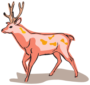 Red deer