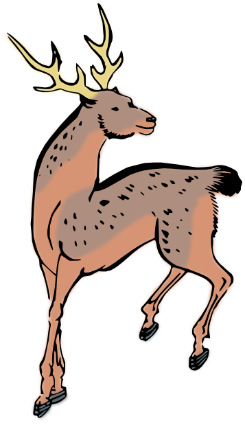Sika Deer art