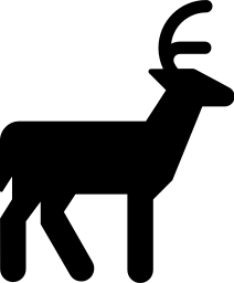 deer buck silhoutte