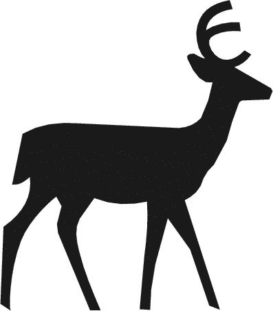 deer bold