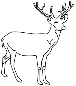 deer lineart