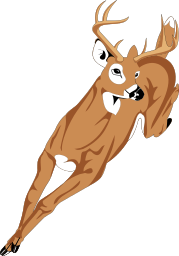 deer running 1