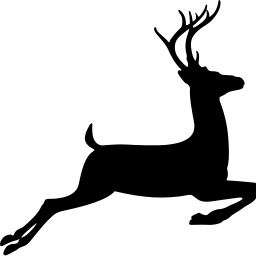 deer running buck