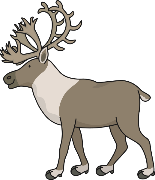 reindeer-3