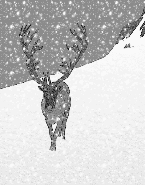 reindeer on slope