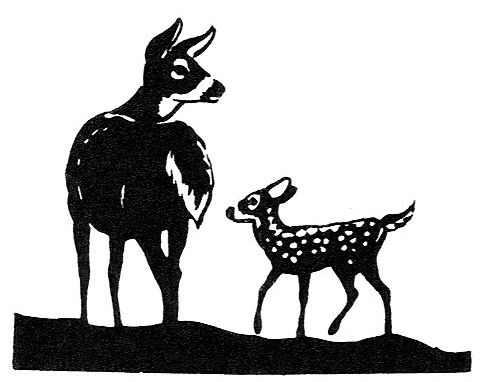 doe and fawn