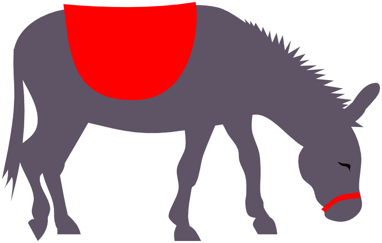 Donkey with saddle blanket