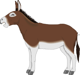 donkey profile