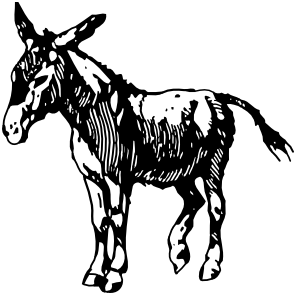 donkey small