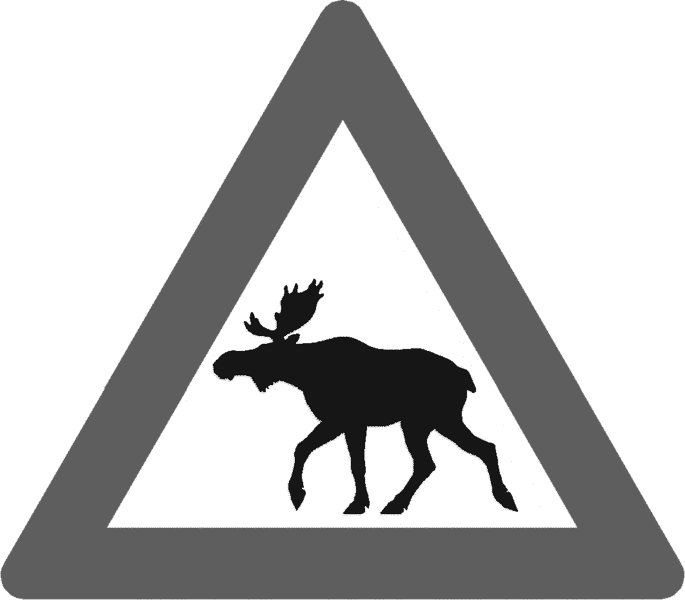 Norwegian elk warning