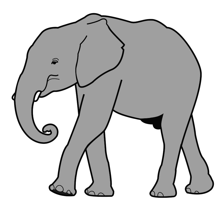 Elephant walking small tusks