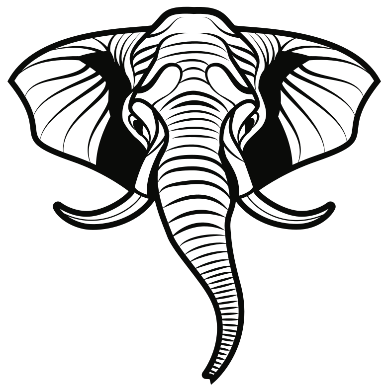 elephant-head-front