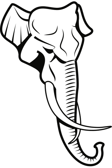 elephant-head 2