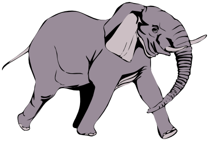 elephant angry