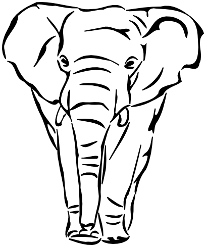 elephant approaching sketch