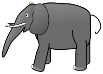 elephant boxy