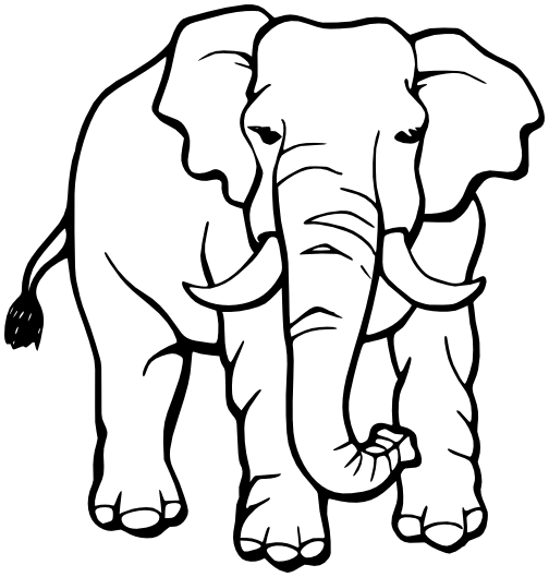elephant lineart