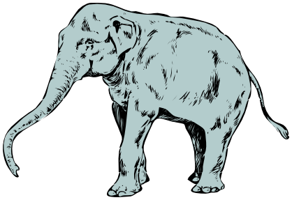 elephant no tusks