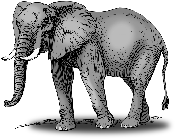 elephant shaded