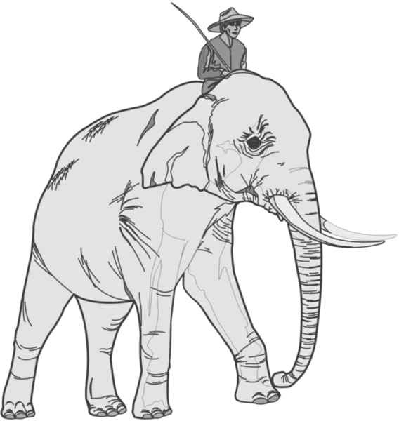 elephant with rider