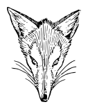 fox head lineart