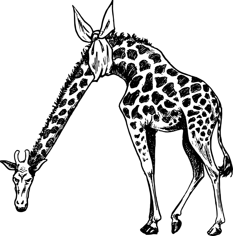 giraffe-w-sore-neck