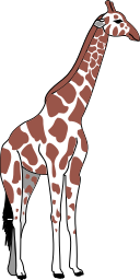 giraffe 01
