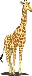 giraffe 02