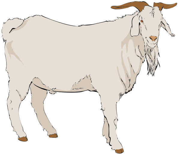 Goat clipart