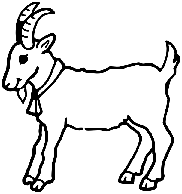 goat-w-horns