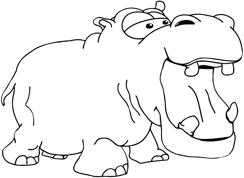 Hippopotamus mouth open BW