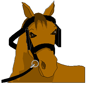 horse 9