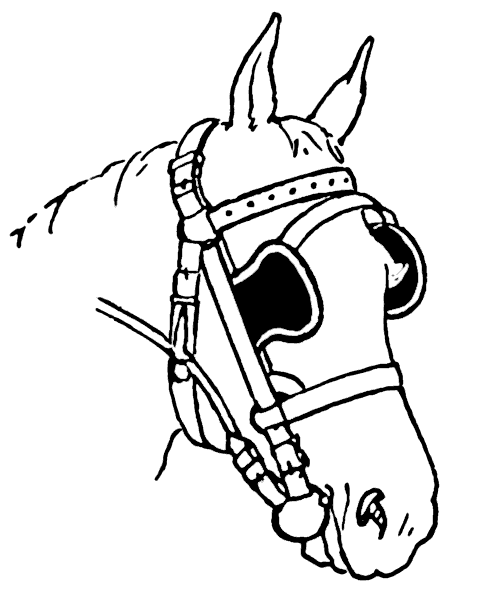 horse with blinders