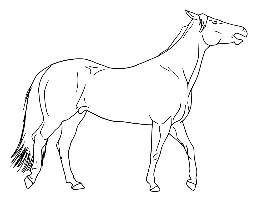 horse walking open mouth sketch