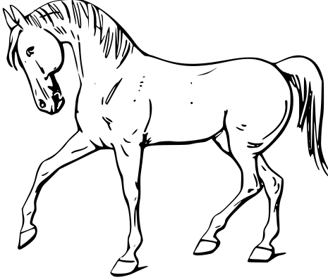 walking horse outline