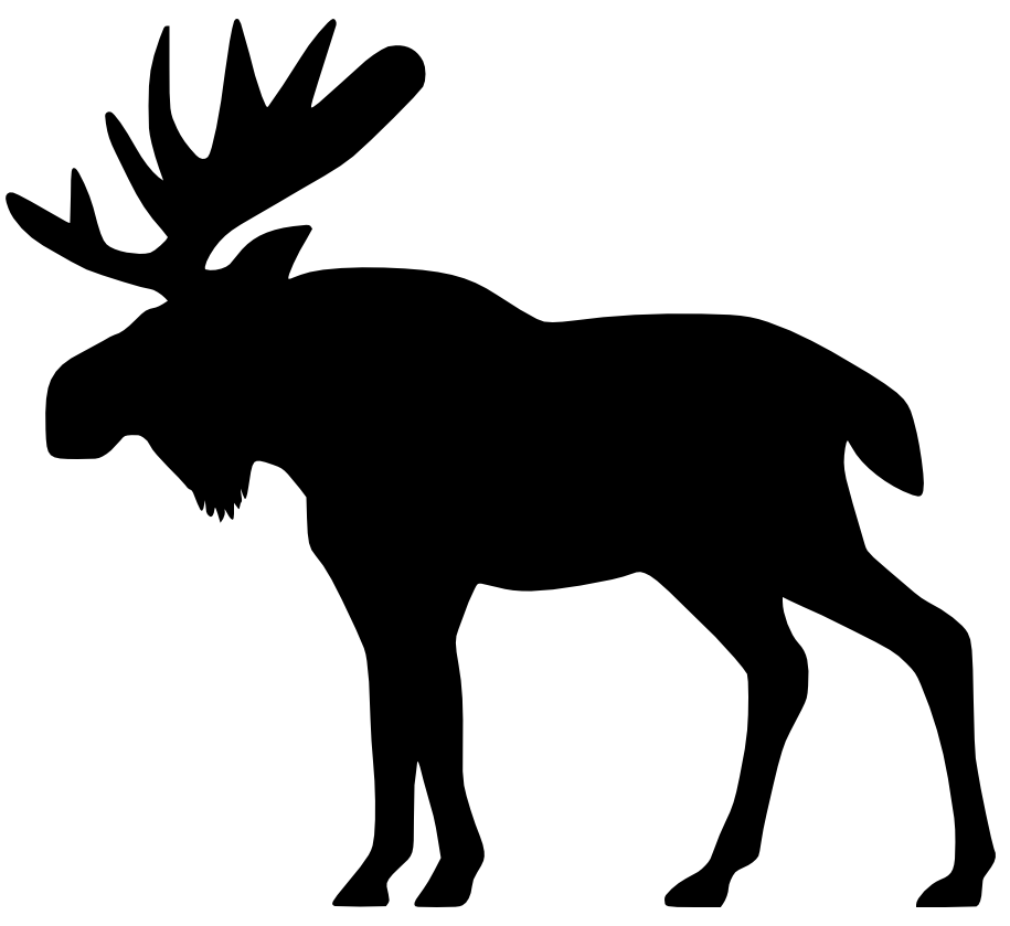 moose big