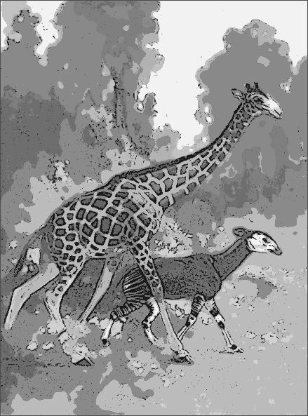 Okapi and Giraffe