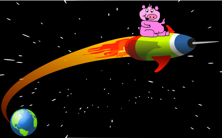 pig flies in space