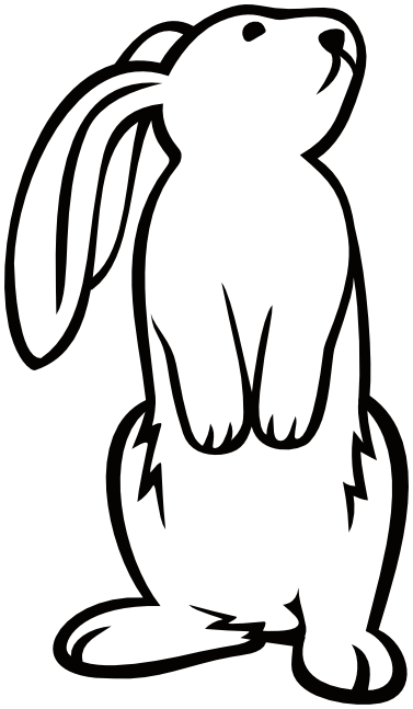 bunny standing