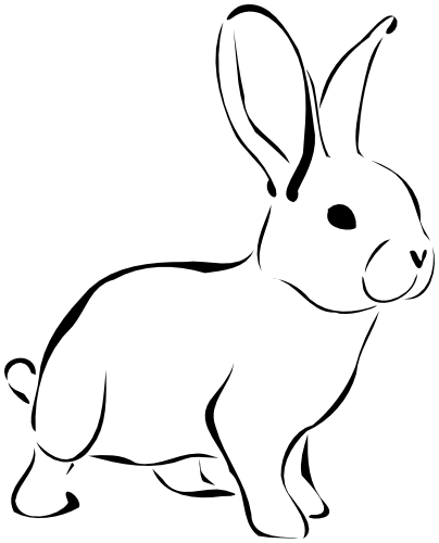 rabbit sketch