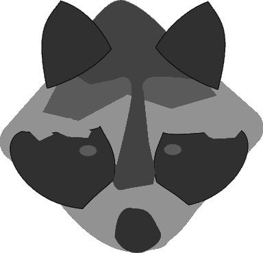 raccoon face abstract